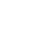 Magnete Alnico