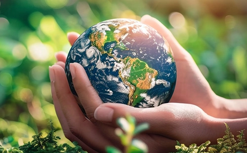 Mishima Industrial lancia la strategia ESG, impegnandosi a raggiungere la neutralità carbonica entro il 2030